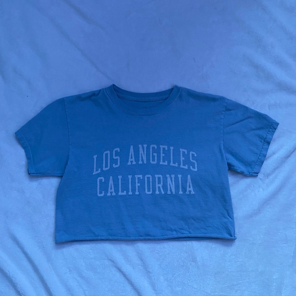 Brandy Melville light blue crop tee